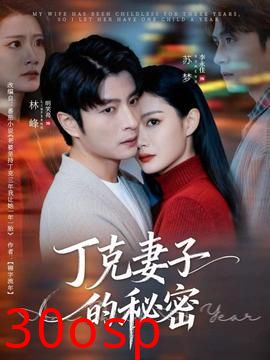 丁克妻子的秘密