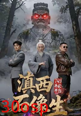 秘档滇西石像生