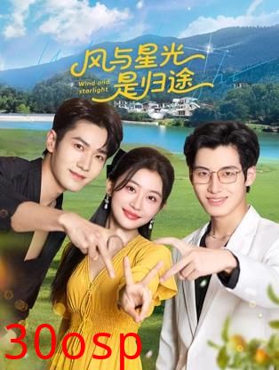 风与星光是归途