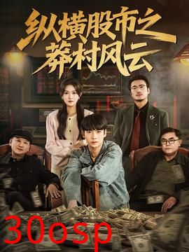 纵横股市之莽村风云