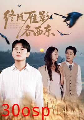 终随雁影各西东