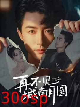 再不见城南月圆