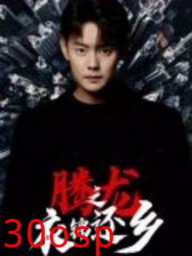 腾龙之衣锦还乡