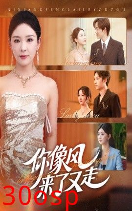 你像风来了又走