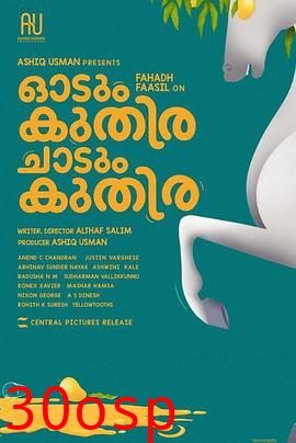 一匹马奔跑，一匹马跳跃