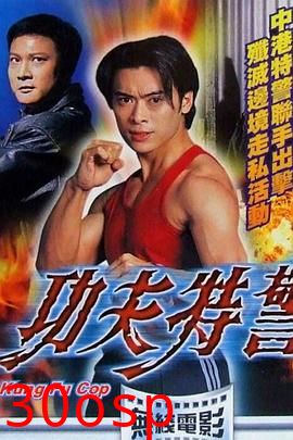 功夫特警粤语