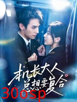 机长大人总想要复合