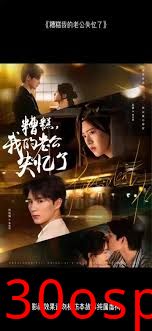 糟糕我的老公失忆了