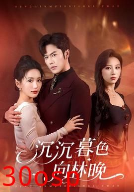 沉沉暮色向林晚