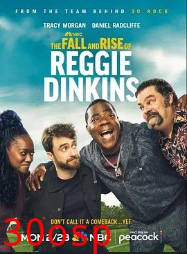 雷吉·丁金斯的兴衰