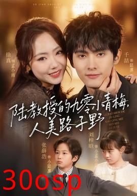 陆教授的九零小青梅，人美路子野