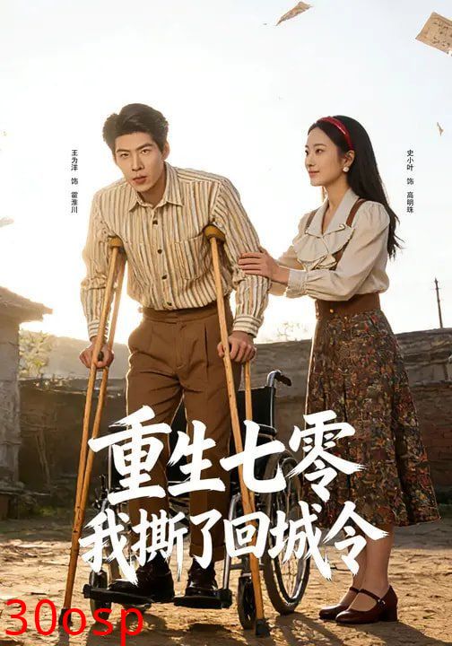 重生七零：我撕了回城令