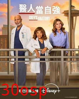 实习医生格蕾 第二十二季