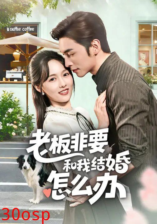 老板非要和我结婚怎么办