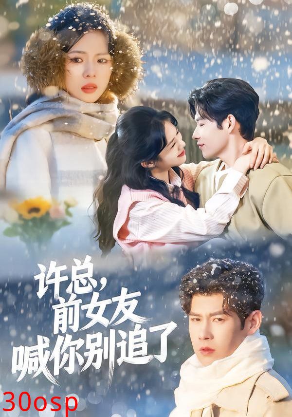 许总，前女友喊你别追了