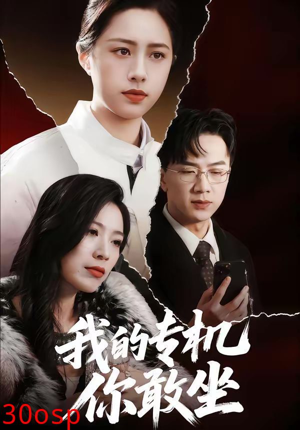 我的专机你敢坐