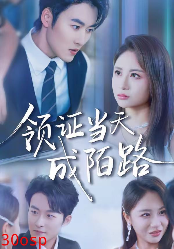 领证当天成陌路