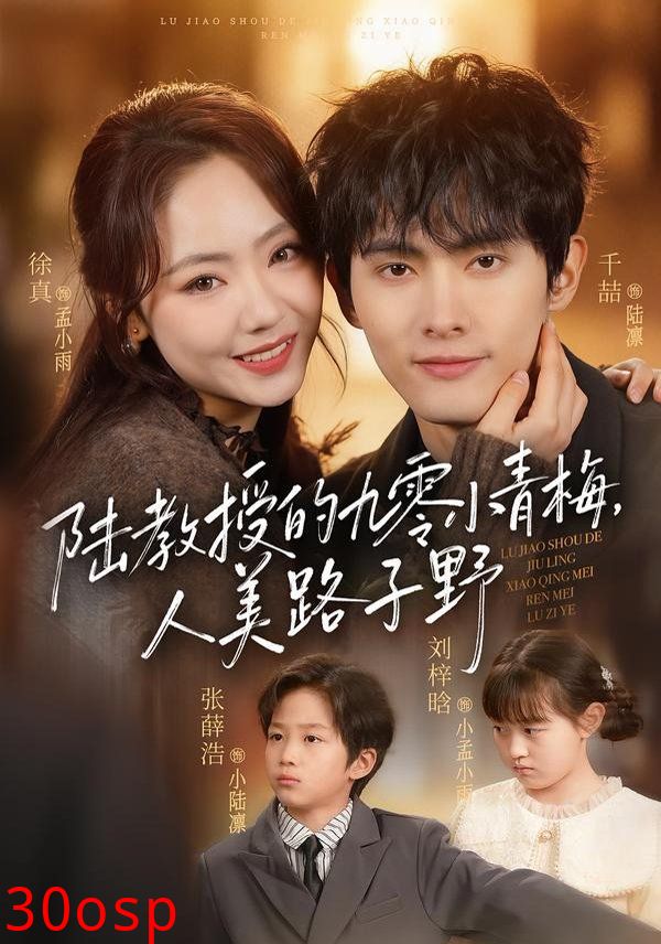 陆教授的九零小青梅，人美路子野