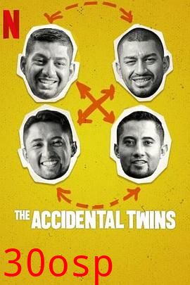 双胞胎乌龙：翻倍的兄弟情