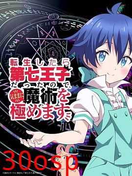 转生七王子的魔法全解