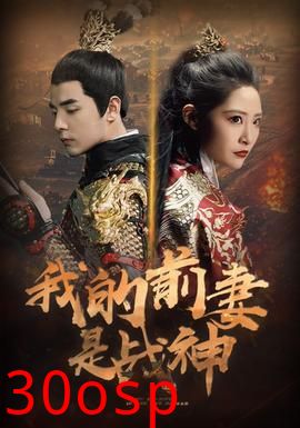 我的前妻是战神