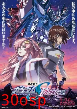 机动战士高达SEEDFREEDOM