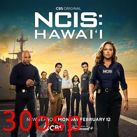 海军罪案调查处：夏威夷第三季