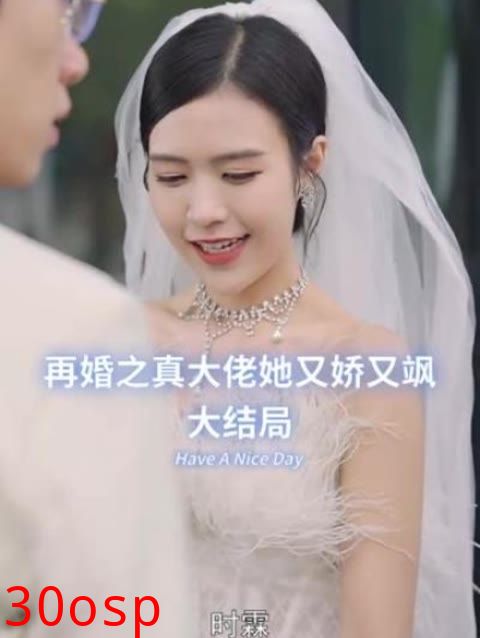 再婚之真大佬她又娇又飒