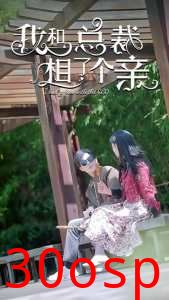 我和总裁相了个亲