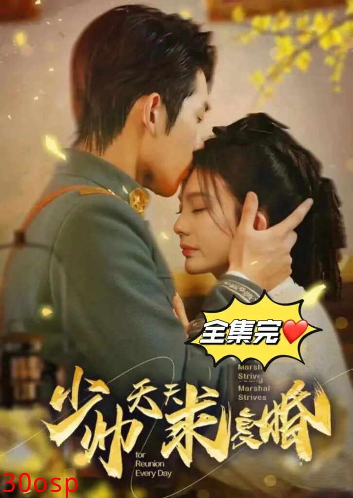 少帅天天求复婚