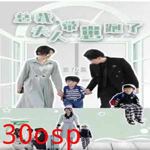 总裁，夫人带崽跑了