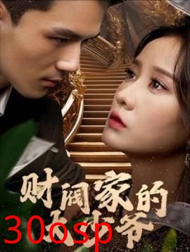 财阀家的大少爷