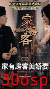 家有房客美娇妻