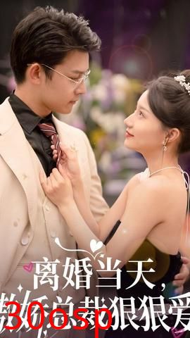 离婚当天，傲娇总裁狠狠爱