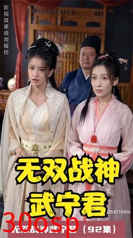 无双战神武宁君