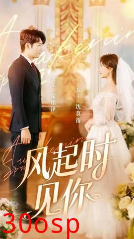 风起时见你