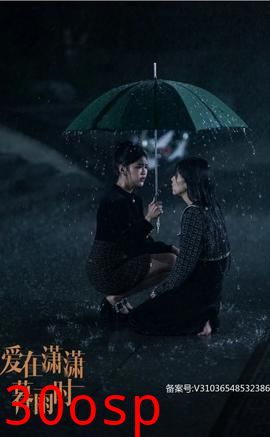 爱在潇潇暮雨时