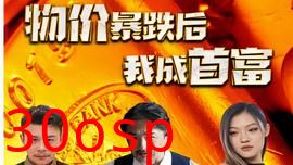 物价暴跌后我成了首富