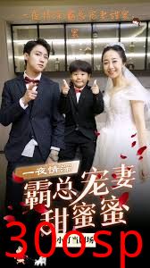 霸总宠妻甜蜜蜜