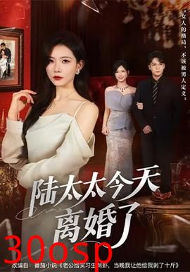 陆太太今天离婚了