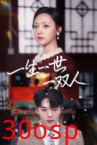 一生一世一双人