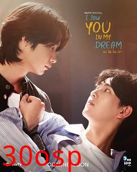 我在梦里见过你