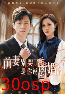 前妻别哭了是你说离婚的