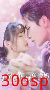 大佬的闪婚单身妈