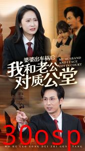 婆婆出车祸后我和老公对质公堂