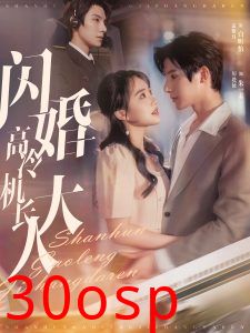 闪婚高冷机长大人