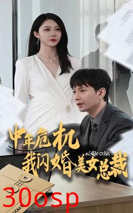 中年危机我闪婚美女总裁