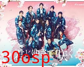 与你一起绽放～新选组青春录～