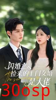 闪婚之捡来的上门女婿是大佬