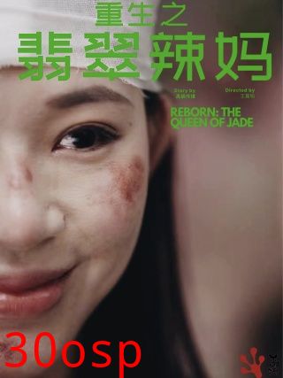 重生之翡翠辣妈